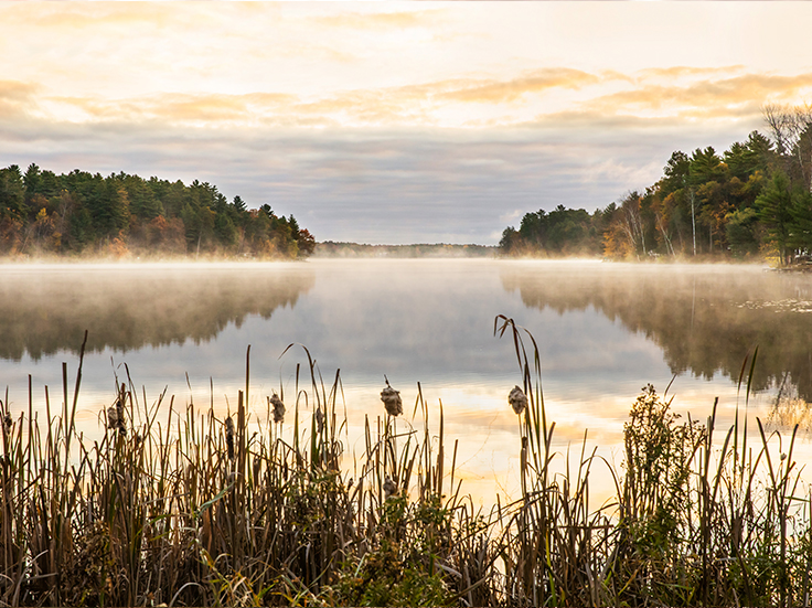 A wilderness scene from Menominee.